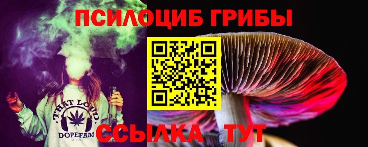Протвино  Галлюциногенные грибы ЛСД  Вход с VPN 